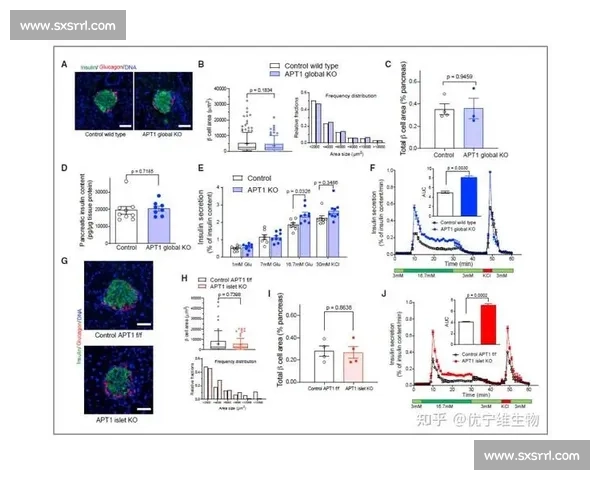 基于体育比赛数据分析对胜负结果影响机制与预测模型研究 - 副本 (2)