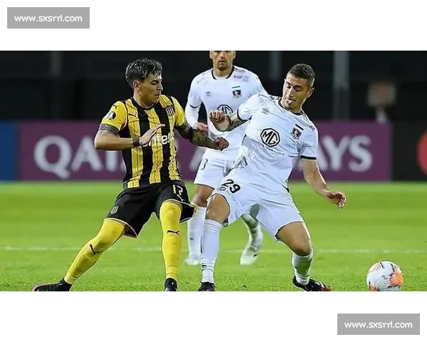 足球联赛与杯赛的规则差异与竞技形式对比分析 - 副本